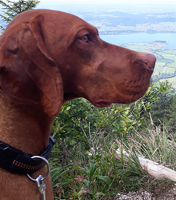 Hugo von der Dresdner Heide