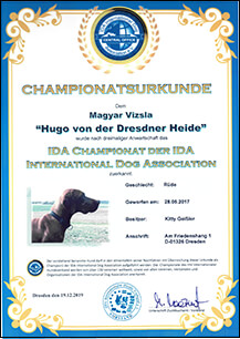 IDA Champion 2019