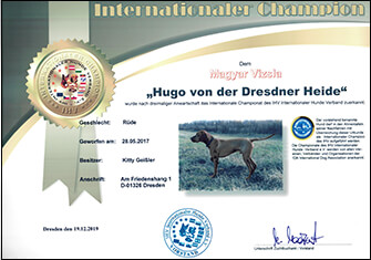 Internationaler Champion 2019