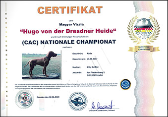 Nationaler Champion 2019